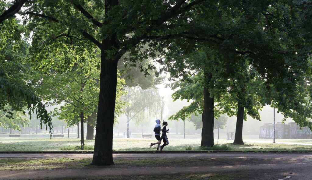 Remember, sustainable habits always deliver better long-term results than extreme workouts or restrictive diets, making your fitness journey healthier, safer, and more rewarding.
