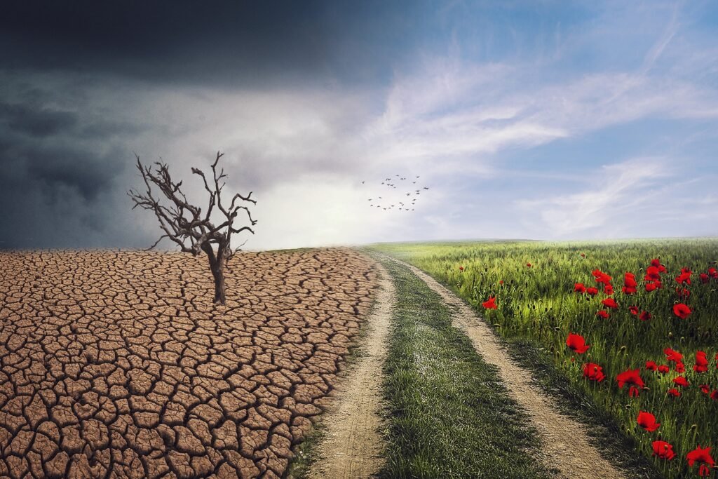 Climate change is no longer a distant concern. It is a global challenge affecting millions of people every year. 