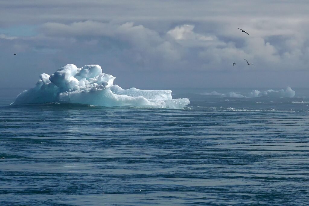 Creating a sustainable future requires long-term commitment.