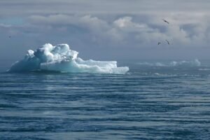 Climate Change
