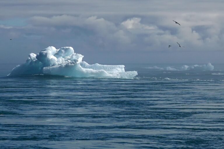 Global Climate Action: Building a Sustainable Future Together