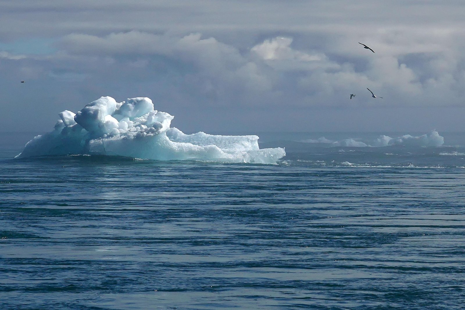 Global Climate Action: Building a Sustainable Future Together