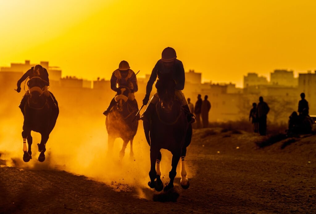 Purebred Arabian horse and rider executing a barrier jump at an international equestrian event 