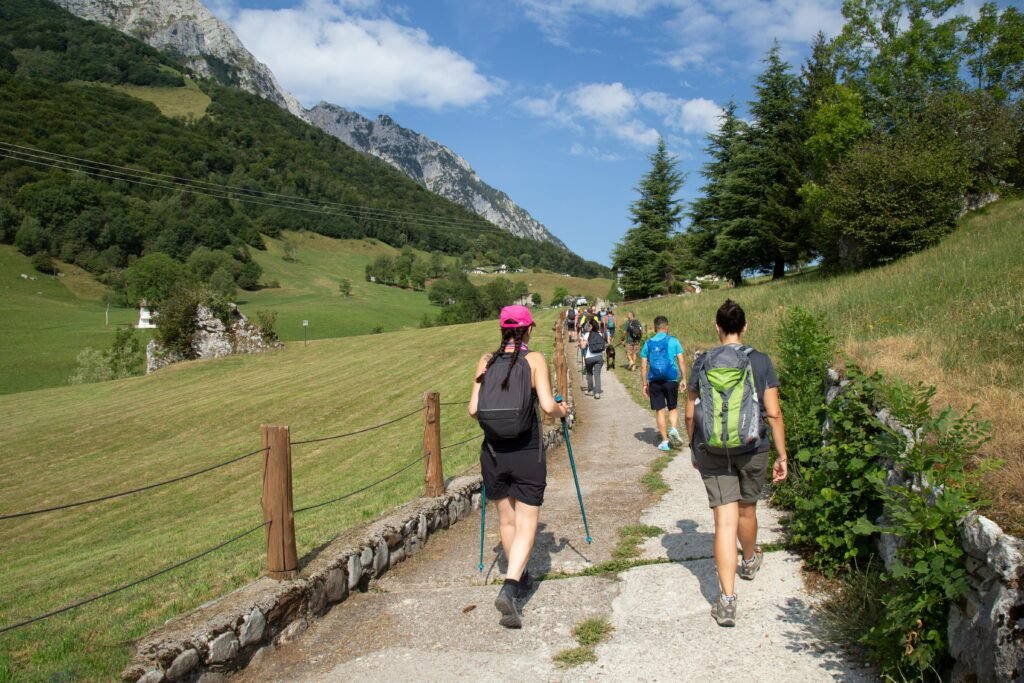 Brisk walking as a cardiovascular exercise 