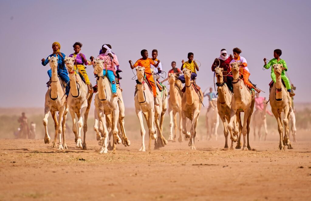 Traditional camel racing with modern robotic jockeys competing on a desert track in the UAE
