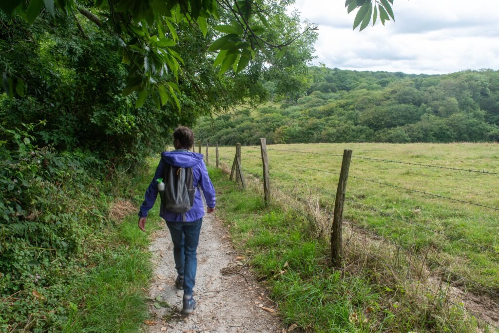 Daily walking to support healthy weight management