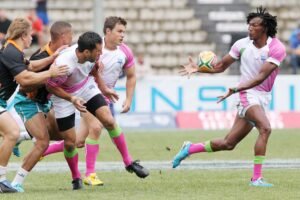 Rugby as a popular sport in France