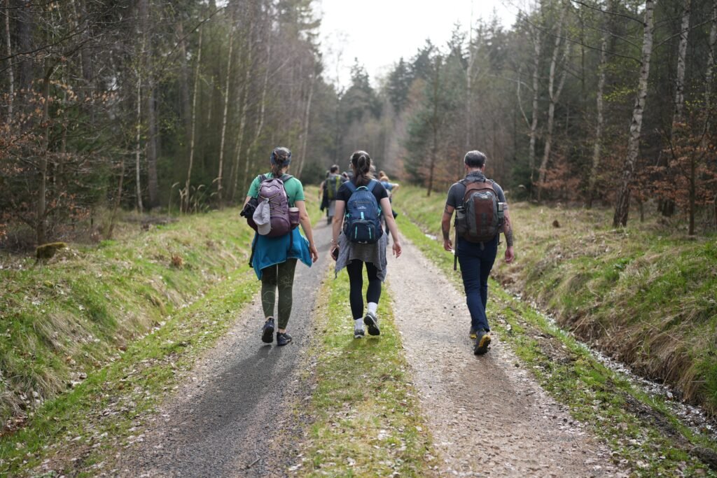A group of hikers walking along a forest path during a weekend Wandern trip.